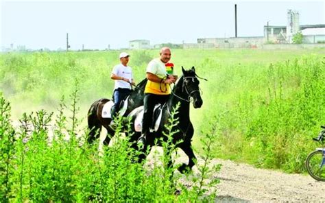 Nuțulică, fiul lui Nuțu Cămătaru, primit acasă cu。